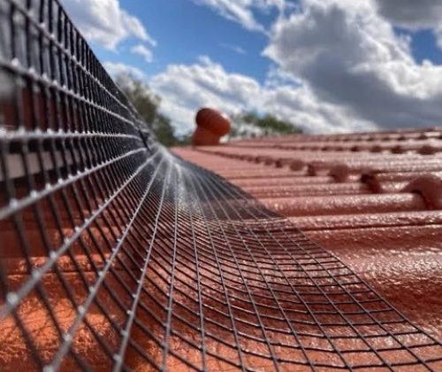 bird_proofing